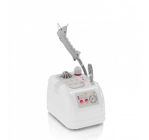 ''GOLDENTAL'' BUHARLI TEMİZLEME ROBOTU*2 LT - PLASTİK GÖVDE